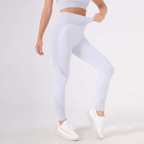 CardioFashion Female Candy color Zipper Sports Running Fitness Tight Yoga Suits