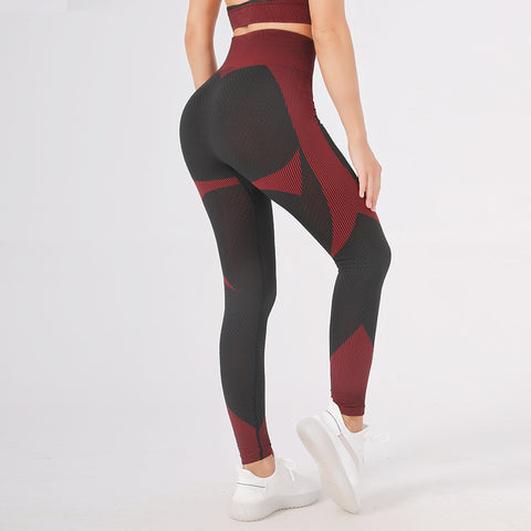 CardioFashion Female Candy color Zipper Sports Running Fitness Tight Yoga Suits