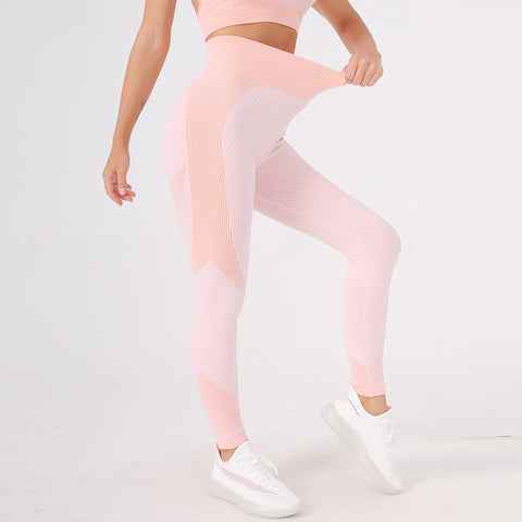 CardioFashion Female Candy color Zipper Sports Running Fitness Tight Yoga Suits